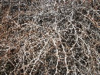 Grotta_Pitagora - 20100328 164.jpg